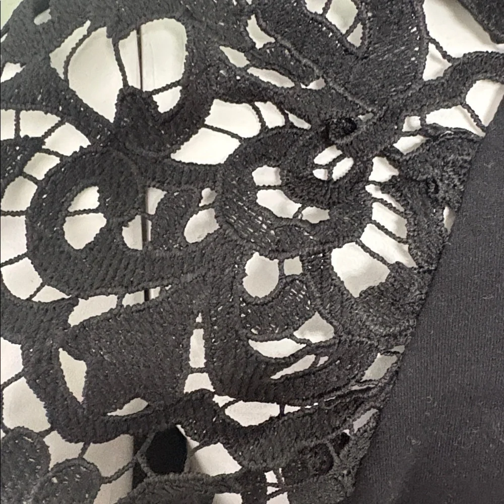 ANTHROPOLOGIE Dolan Black Lace Sleeve Top Petite Medium